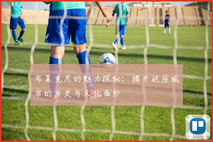 布莱克尼的魅力探秘：揭开这座城市的历史与文化面纱