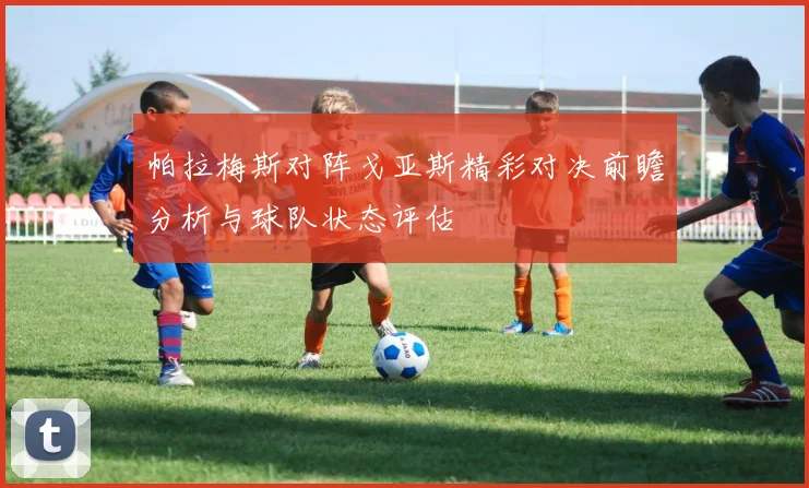帕拉梅斯对阵戈亚斯精彩对决前瞻分析与球队状态评估