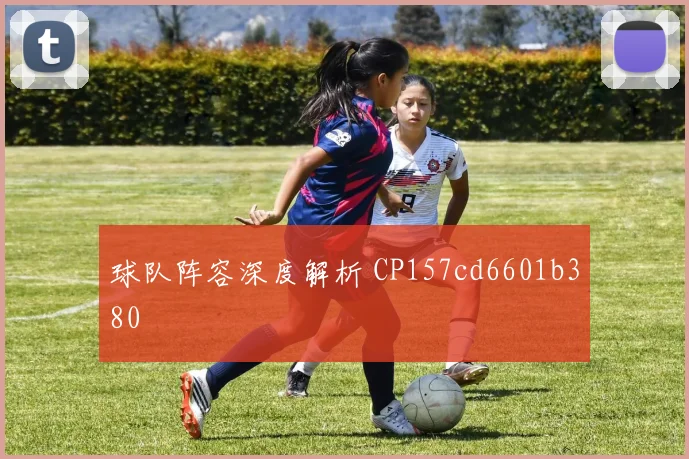 球队阵容深度解析 CP157cd6601b380